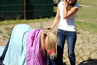 Pferdeverhaltenstherapie Kerpen 11